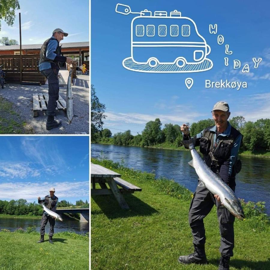 Surnadal Camping Brekkoya Skei  Zewnętrze zdjęcie